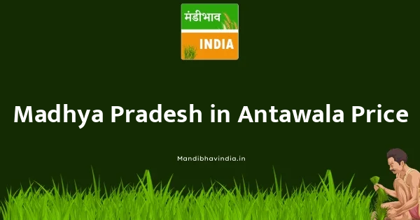 Antawala भाव